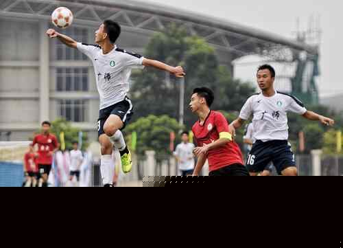 佩尔卡西：解雇尤里奇是极其痛苦的决定；对帕拉迪诺印象深刻